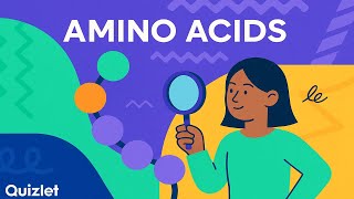 Introduction to Amino Acids: Structure, Charge, and Side Chains