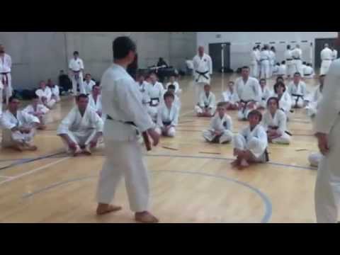 Kagawa sensei 8 dan JKS yoko geri keage and kekomi 2012
