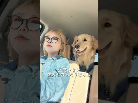 ドッグランに行く日のモーニングルーティン☕️#ゴールデンレトリバー #犬と2人暮らし #goldenretriever