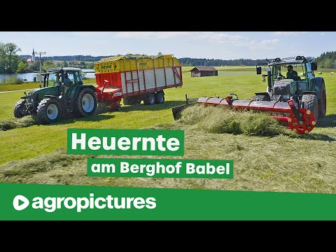 Heuernte am Berghof Babel mit Kammschwader und Doppelmessermähwerk von BB Umwelttechnik