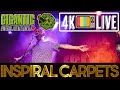 Inspiral Carpets - Move, live 4k Bristol 2025