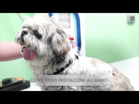 Preparazioni per prezzo ginocchio Osteocondrosi della colonna cervicale C1 C2
