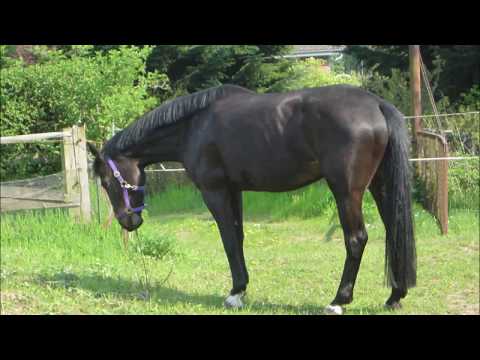 ♥♥♥ Dankeschön 500 Likes ♥♥♥