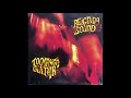 Your Love Is A Fine Thing - The Reigning Sound