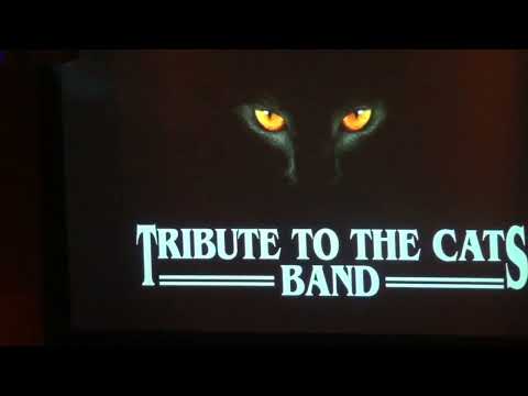 Tribute To The Cats Band - Dreams (Live@Lievekamp Oss)[7-5-2022]