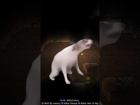 Terraria underground OST is 🔥 #epicness #terraria #shorts