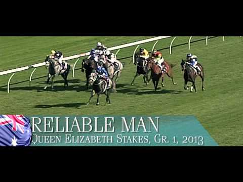 Reliable Man - Mehl-Mülhens-Stiftung Gestüt Röttgen