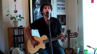 Lindsey Buckingham-Seeds We Sow (Cover by Ryan Ward)