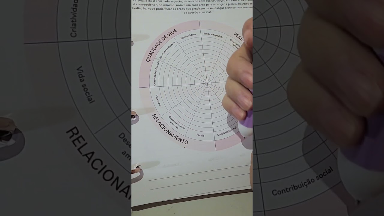 Como usar a roda da vida do seu planner?