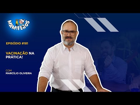 Entre o ideal e o real: como vacinar na rotina da fazenda.