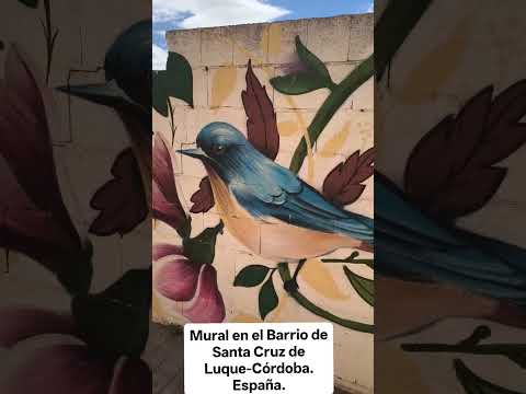 EN EL BARRIO DE SANTA CRUZ DE LUQUE-CÓRDOBA: UN MURAL DE COLORES Y MOTIVOS FLORALES. España.