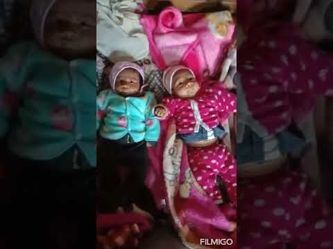 lovely baby boys Mehtab singh and Taranjot singh my cousins ❤❤|| #babyboy #dilpreet khaira