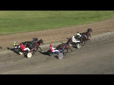 Trka "Zlatna polja d.o.o.-Sombor" 17.10.2021 Chet Baker A.T. - Josip Gabrić ml.