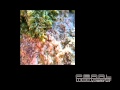 Vidéo