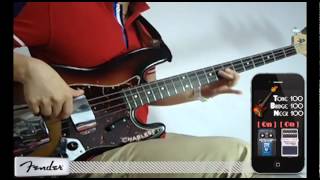 🎸【Fender vs Warwick】 Bass Guitar Comparison & Review