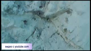 Самовольная добыча нефрита