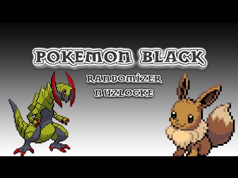 Pokemon Black Randomizer Nuzlocke: Choose Your Character