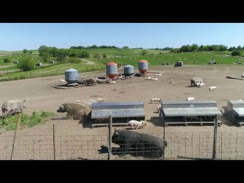 Farm Videos - Applegate