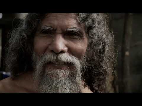 Arte Venezolano - Macario Colombo - El Pintor de la Locura