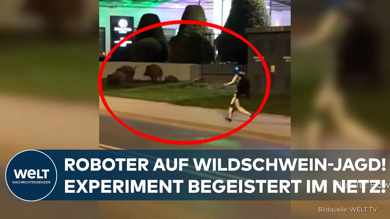 WARSCHAU: Humanoider Roboter jagt Wildschweine! Kurioses Projekt gegen das Großstadtproblem?