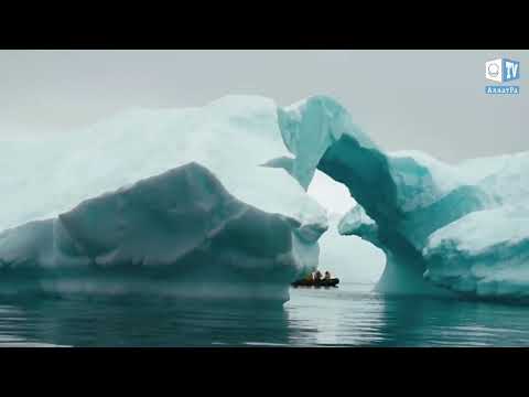 Интересные Факты - Антарктида