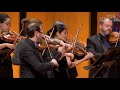 Georg Philipp Telemann, Harlequinade from Ouverture Suite in C Major, TWV 55:C6