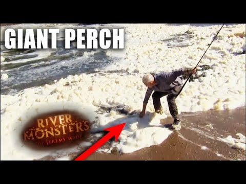 Catching A Monster In The Nile | River Monsters