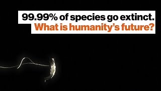 Michio Kaku: 99.99% of species go extinct. What is humanity’s future?