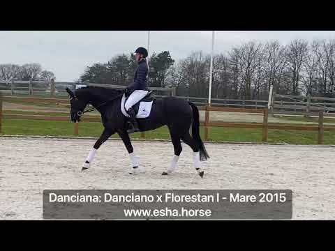Danciana: Danciano x Florestan