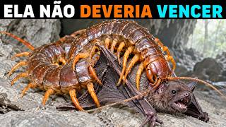 🚨 A PIOR MORTE que alguém pode ter e EU NÃO DESEJARIA ao meu pior inimigo