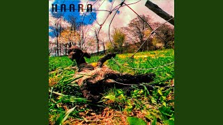 Download lagu Fire Dance mp3