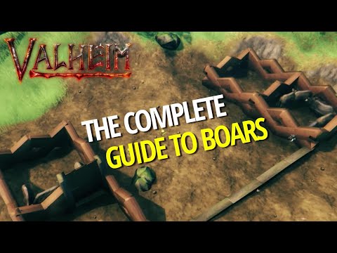 Complete Guide To Boars (Breeding, Production, Fire Safety) - Valheim