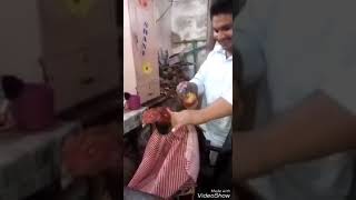 Rooster Having Hair Cut | Must Watch Funny video
