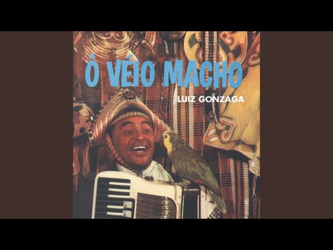 Video thumbnail for De Teresina a São Luiz