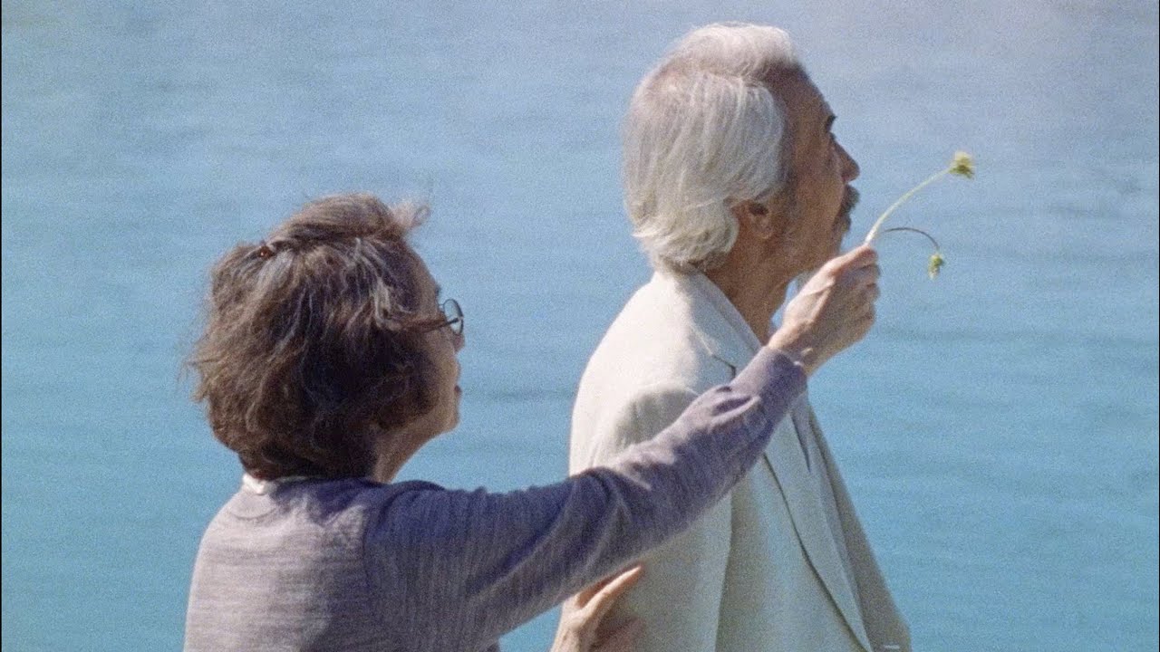 Lyrics Translations Of Canary By Kenshi Yonezu Popnable