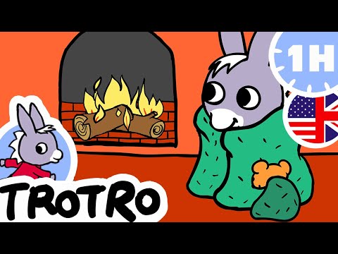 1h of Trotro - ✨  The best episodes of Trotro ✨