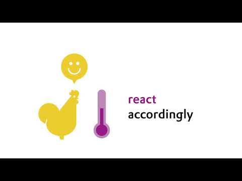 Evonik Precision Livestock Farming