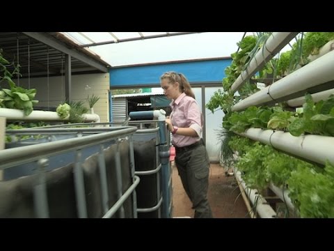 download lagu mp3 mp4 Green Farm Fishery, download lagu Green Farm Fishery gratis, unduh video klip Green Farm Fishery