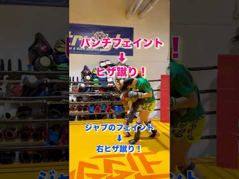 ◆◇◆パンチフェイント→ヒザを当てる◆◇◆