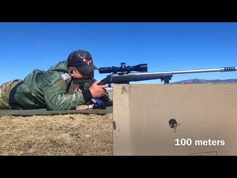 tikka t3 varmint 223 rem 100&410 meters