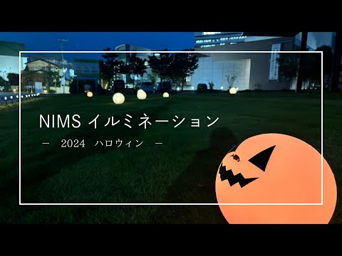 リハビリテーション学科 NIMSイルミネーション ～2024 ハロウィン～