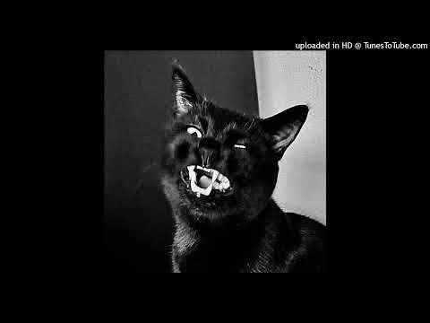 204ATUM - ZA PÓŹNO (PROD. KAKA)