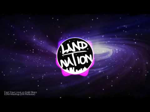Feel Your Love vs Gold Skies - EDM Mashup