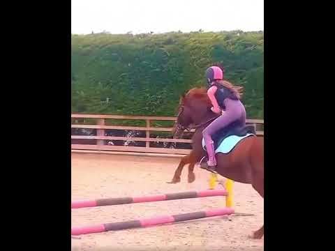 Not been in a saddle for 6 weeks (still busy) 😭