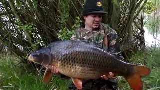 Melamix 750ml Česnek