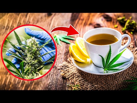 Cannabis Tea – Miracle, or Just Hype?