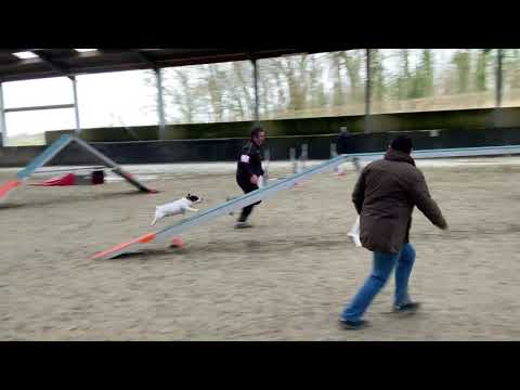 20200223 WITTES MICHAEL JUMPER GR2 M2