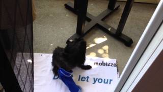 DAY 21_02 - Just Gettin' A Little Scratch Action