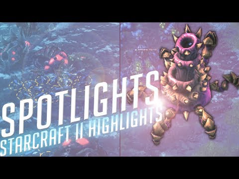 Starcraft 2 - You Missed the Spore | Spotlights 30