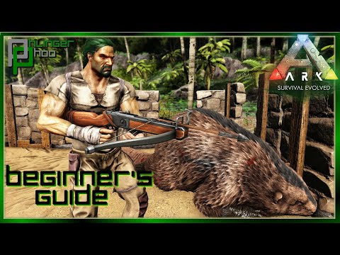 GET EASY CEMENTING PASTE BY RAIDING BEAVER DAMS Soloing the Ark S5E7